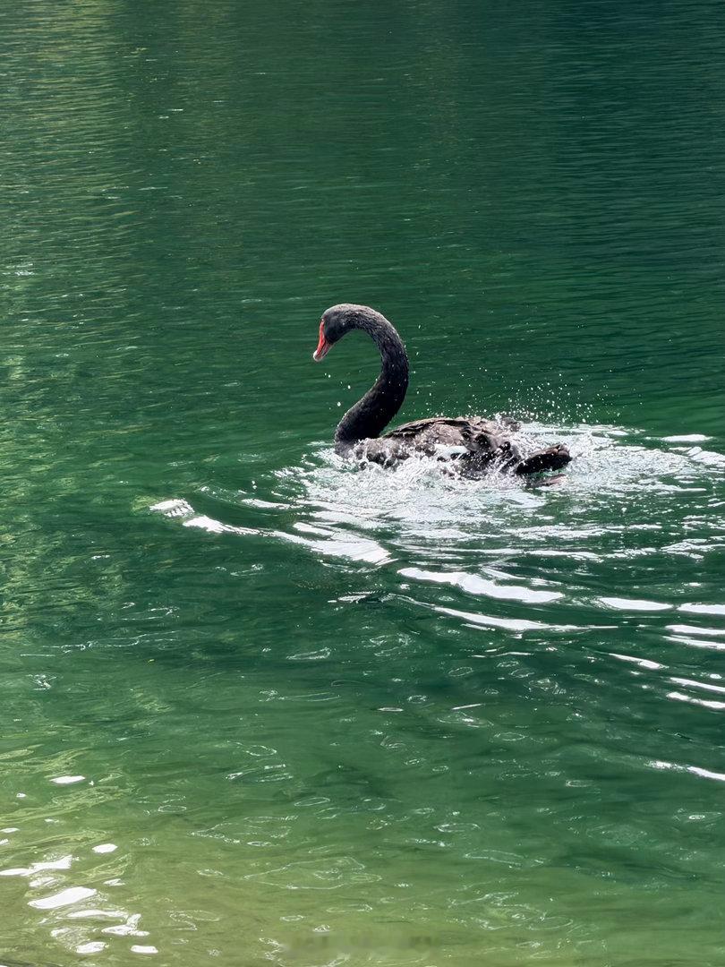 岚图泰山x8还是岚图厉害，这几天我几乎看完了所有女性汽车博主的睡姿～ 