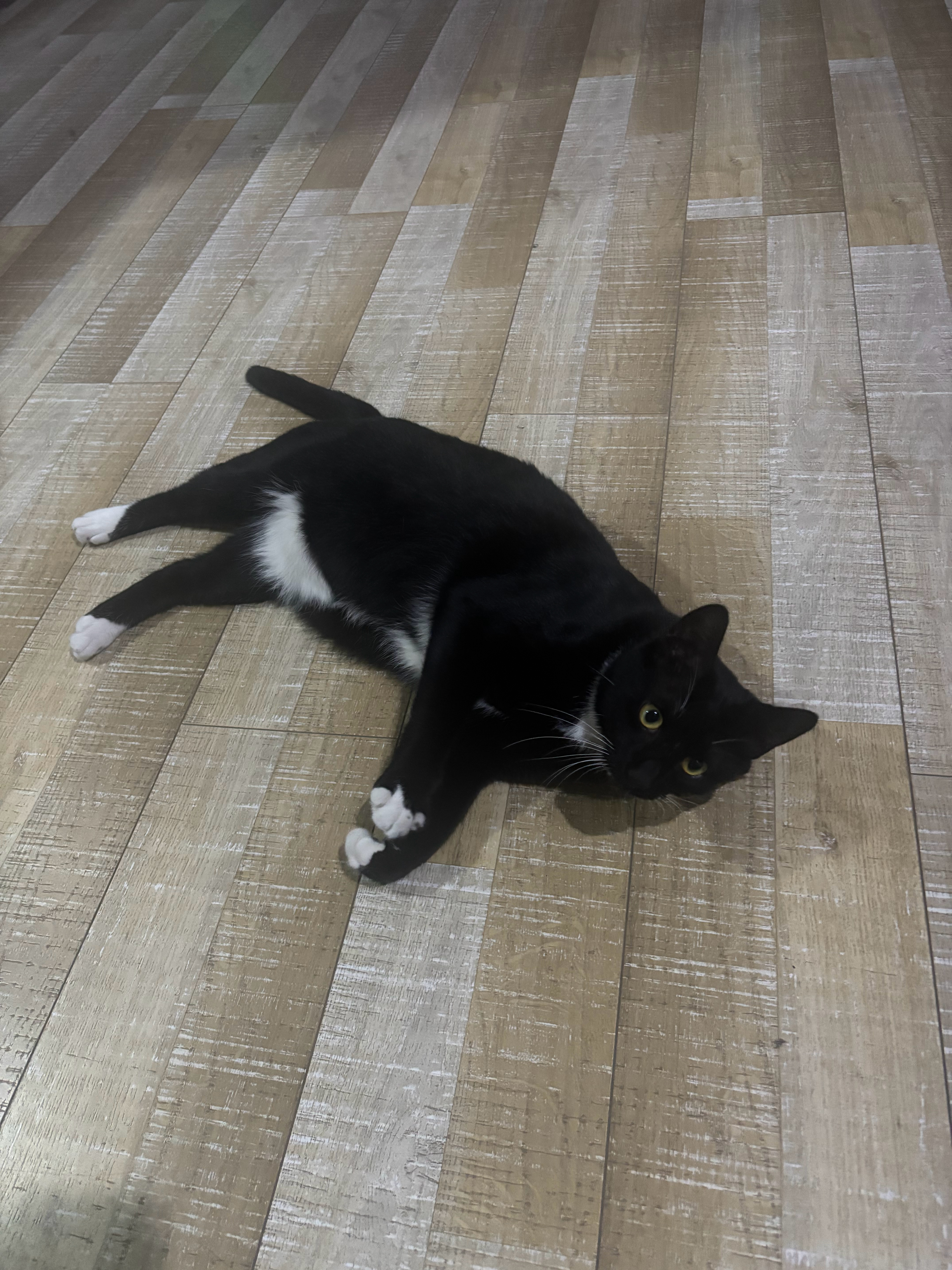 吃🥟，明天🏃🏻♂️长期不换社交头像的人