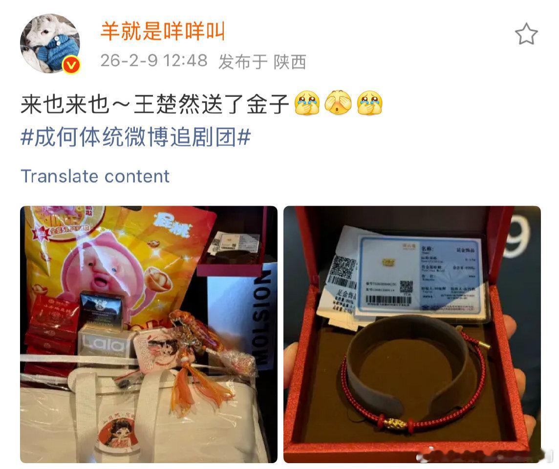 王楚然下本了 能不能改变风评？ 