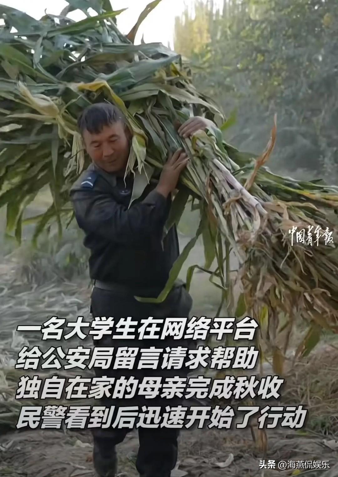 这个派出所火到中国青年报！”大学生在外地上大学，担心母亲一人难以完成秋收，尝试给
