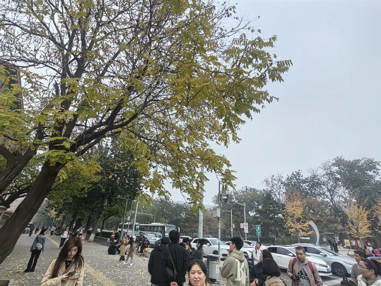 呆北京的时间很长，一直觉得这个城市很生硬，当把进取心换成欣赏心💚，城市变得柔和
