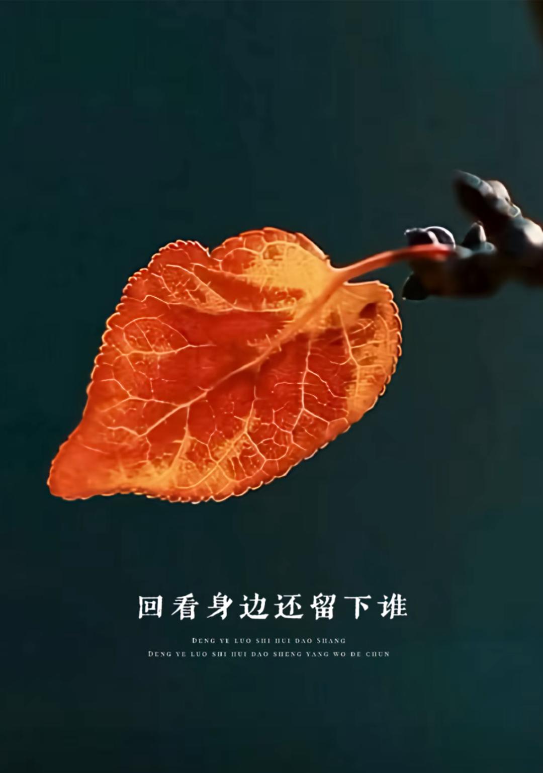我宁愿用全部的财富换儿子重生归来的机会！