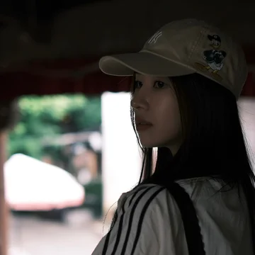 猫猫爱旅游
