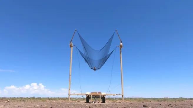 RTX郊狼B3 NK：高能微波干扰实现低成本防御

美国RTX集团公布“郊狼B3