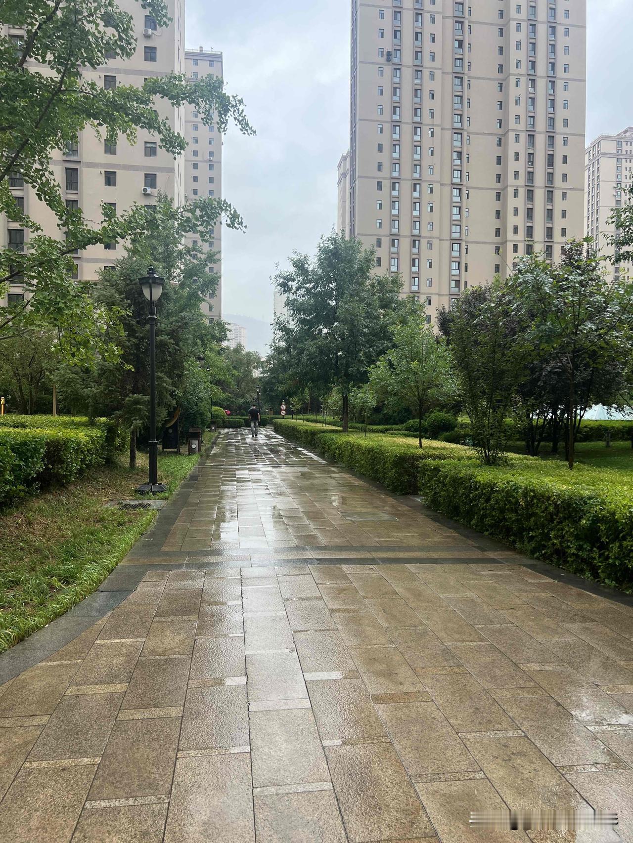 7月10日，这场姗姗来迟的降雨，终于捎来丝丝凉爽，兰州乃至陇原大地普降甘霖，曾一
