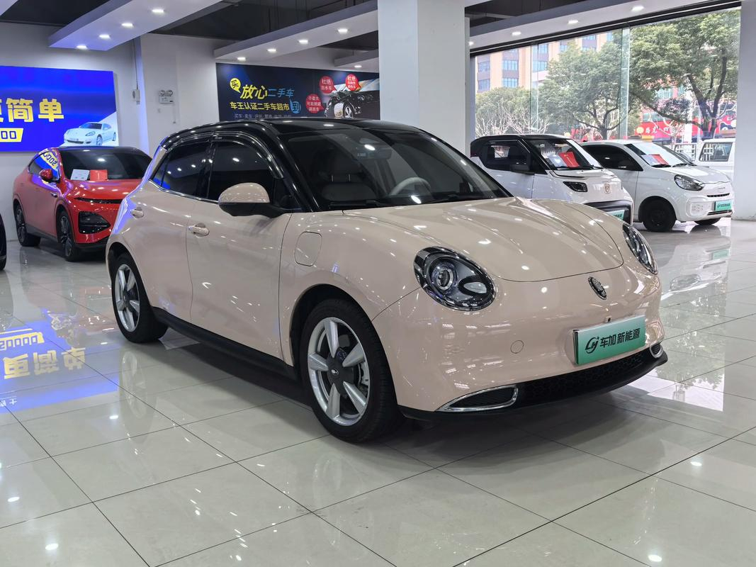 据说这可是耗资十亿、历时三年打造的重磅车型，承载着欧拉破局主流市场的希望！工业风