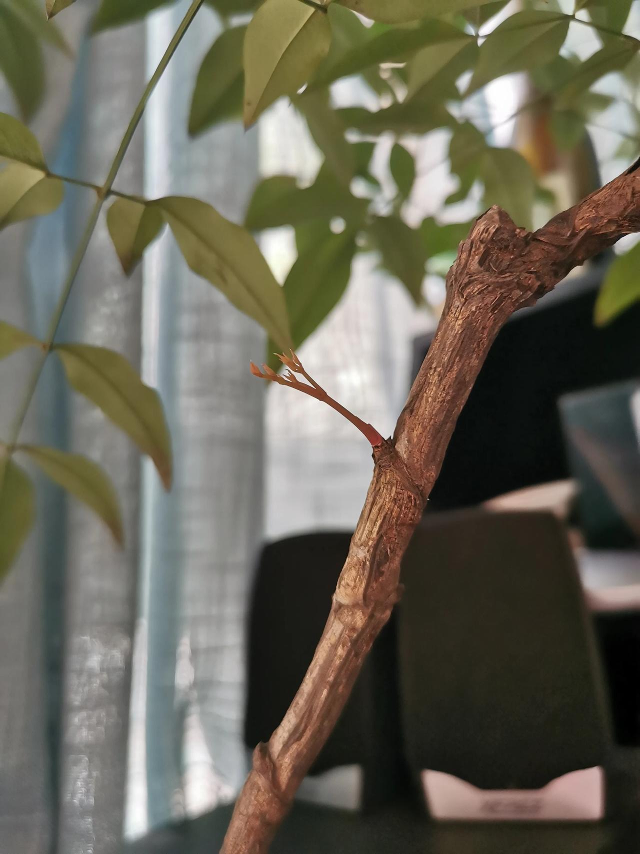 又是5点多自然醒来，隐隐约约听见窗外一群女孩笑谈走过，恍惚间回到小时候。
…
我
