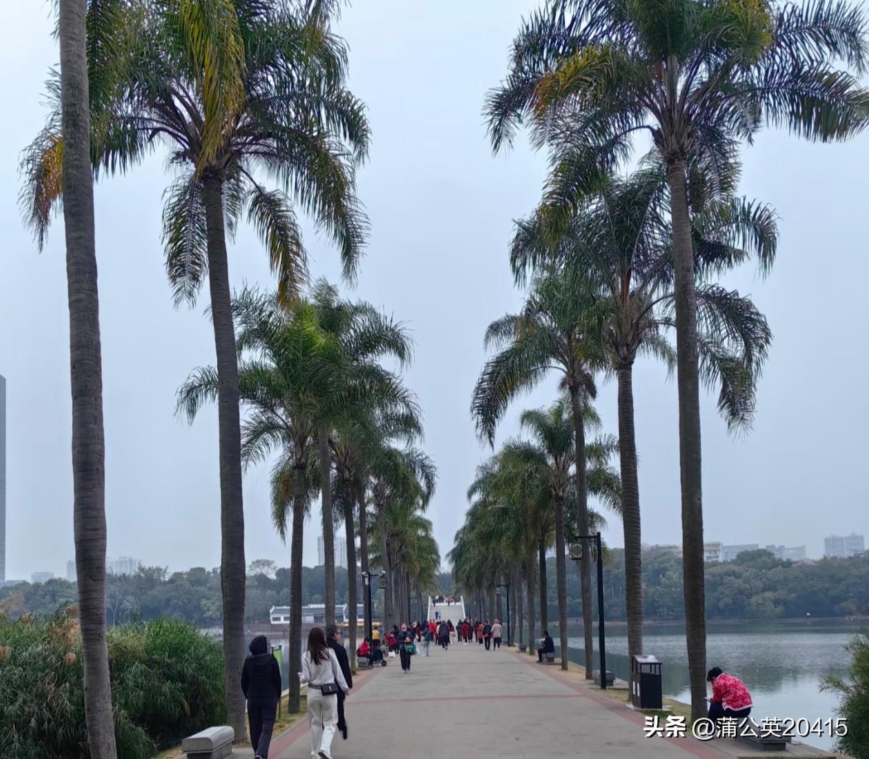 家里有一个健康长寿的老人，是子女们的福气；但家里有一个有病卧床不起的老人，也是全