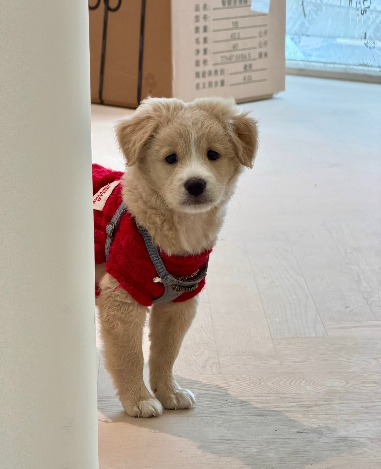 你出去不带上我吗？ 