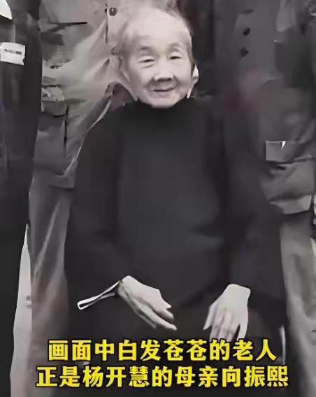 板仓杨家的门，被叩响的时候，向振熙老人正在院子里择菜。

来人递上一封电报，说是