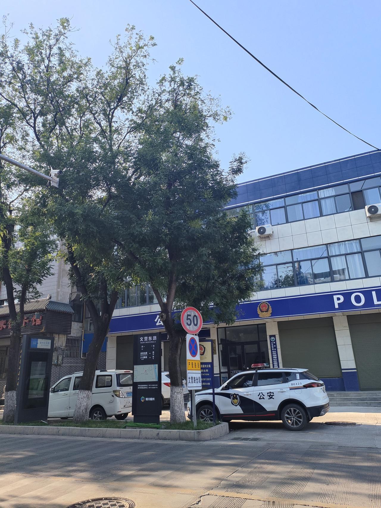 小城文营东路，晴空朗朗，路边大树枝繁叶茂。街道安静有序，寻常街景，藏着一方小城安