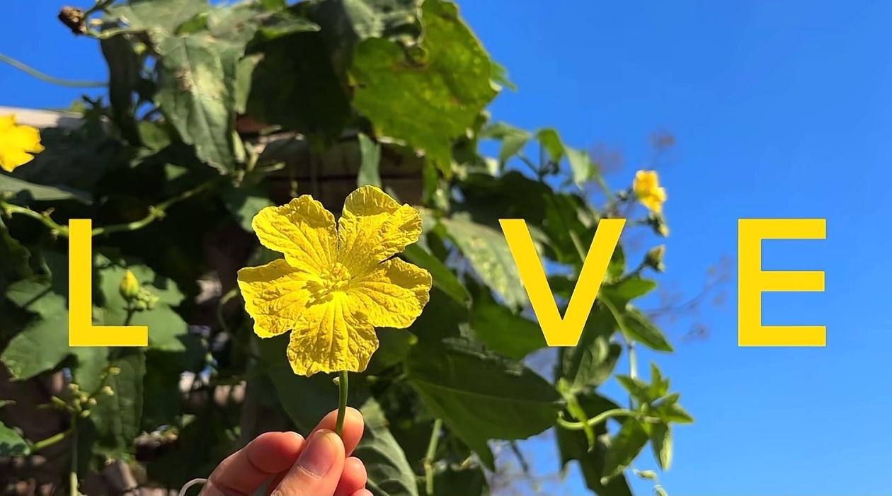 人的需求变了，爱也就消失了？

你应该听说过这么一句话：“人的需求变了，爱也就消