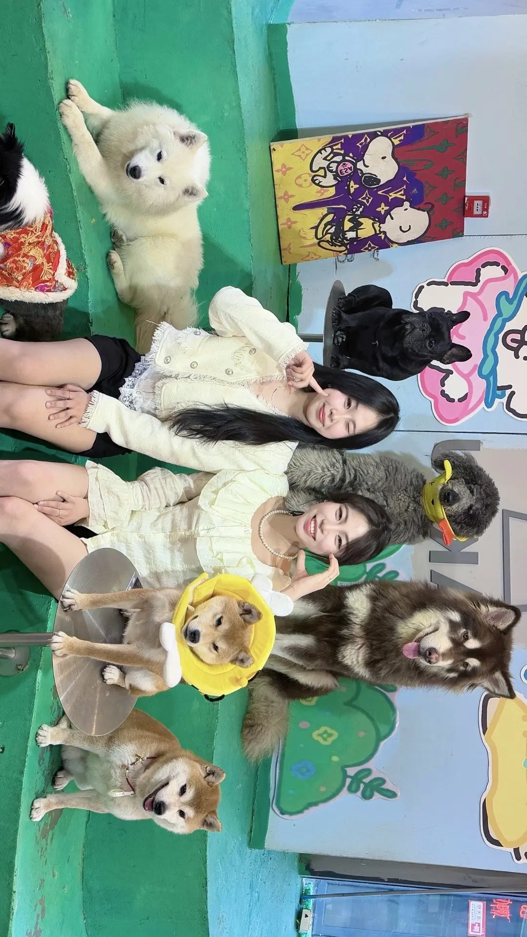 奇怪你爱小狗🐾