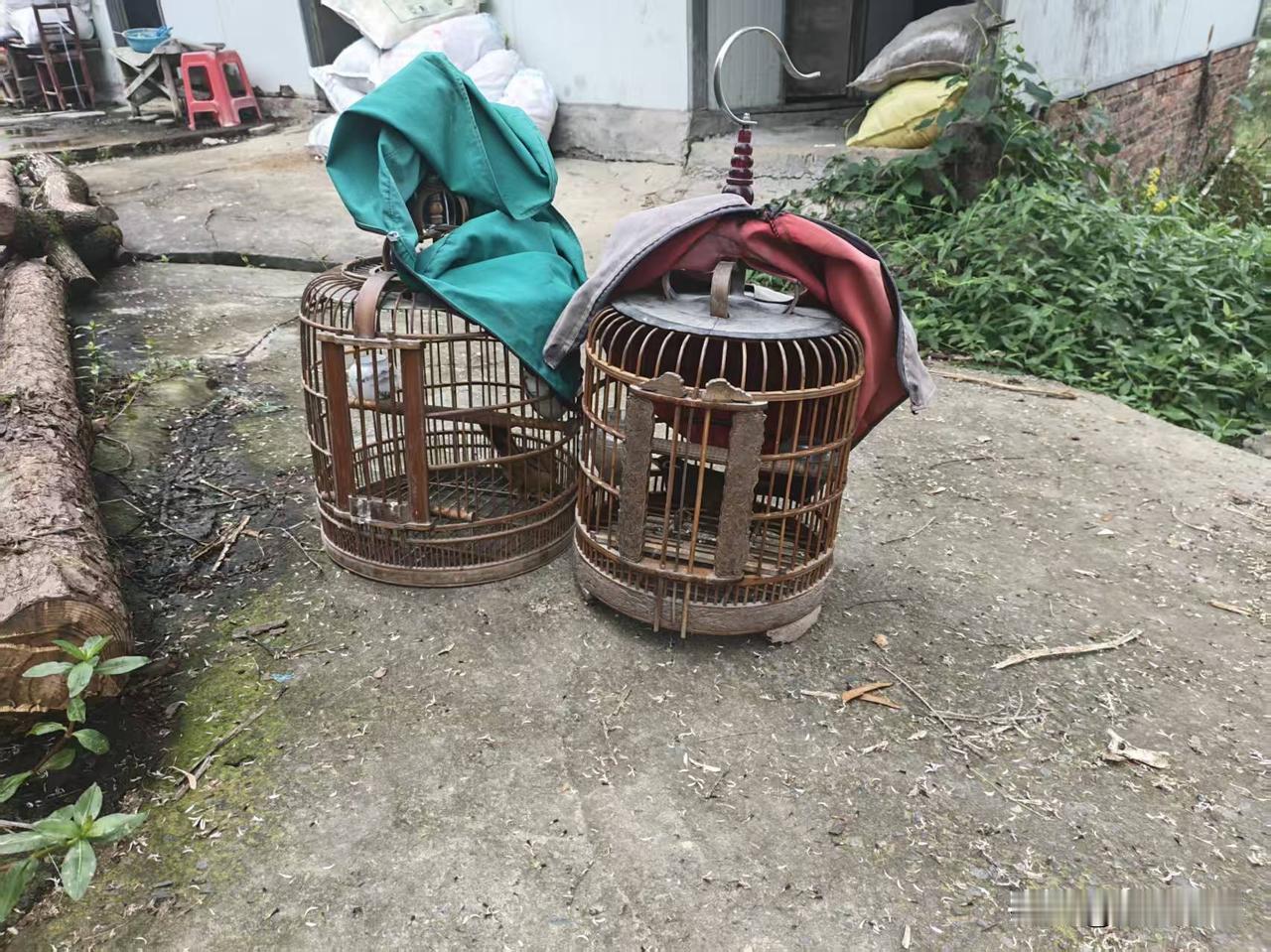 【贵州籍民工湖南逮画眉，态度嚣张转移物证】今天，“零鸟网”志愿者巡护至郴州市宜章