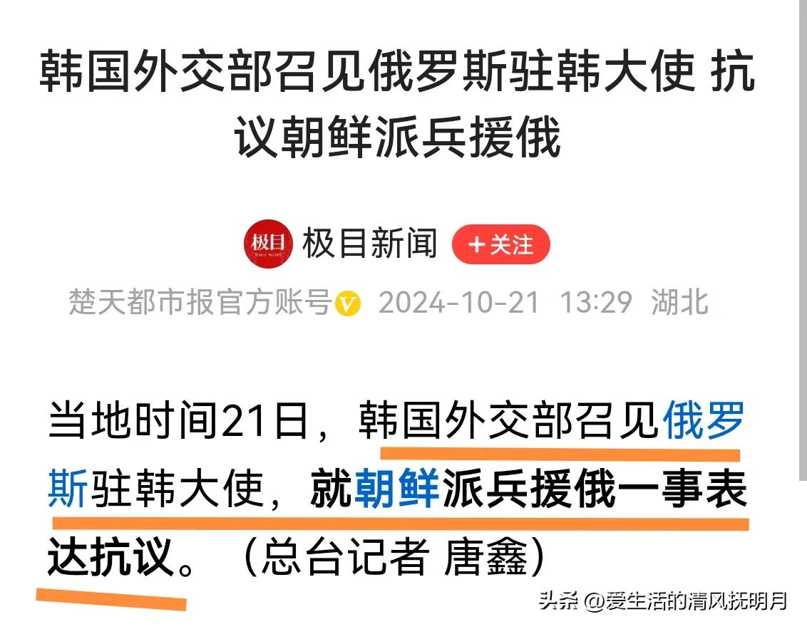 搞笑｜朝鲜派兵去俄罗斯，韩国却跟俄罗斯抗议朝鲜派兵。韩国人的脑子咋这么秀呢？不找