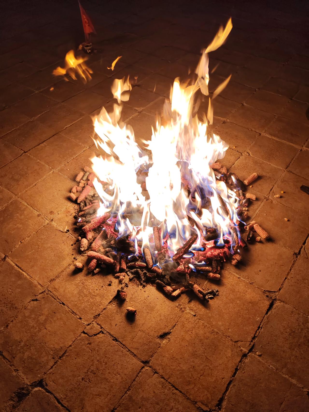 九大败家行为： 
第一名，吸毒。
第二名，嗜赌。
第三名，网贷。
第四名，沉迷彩