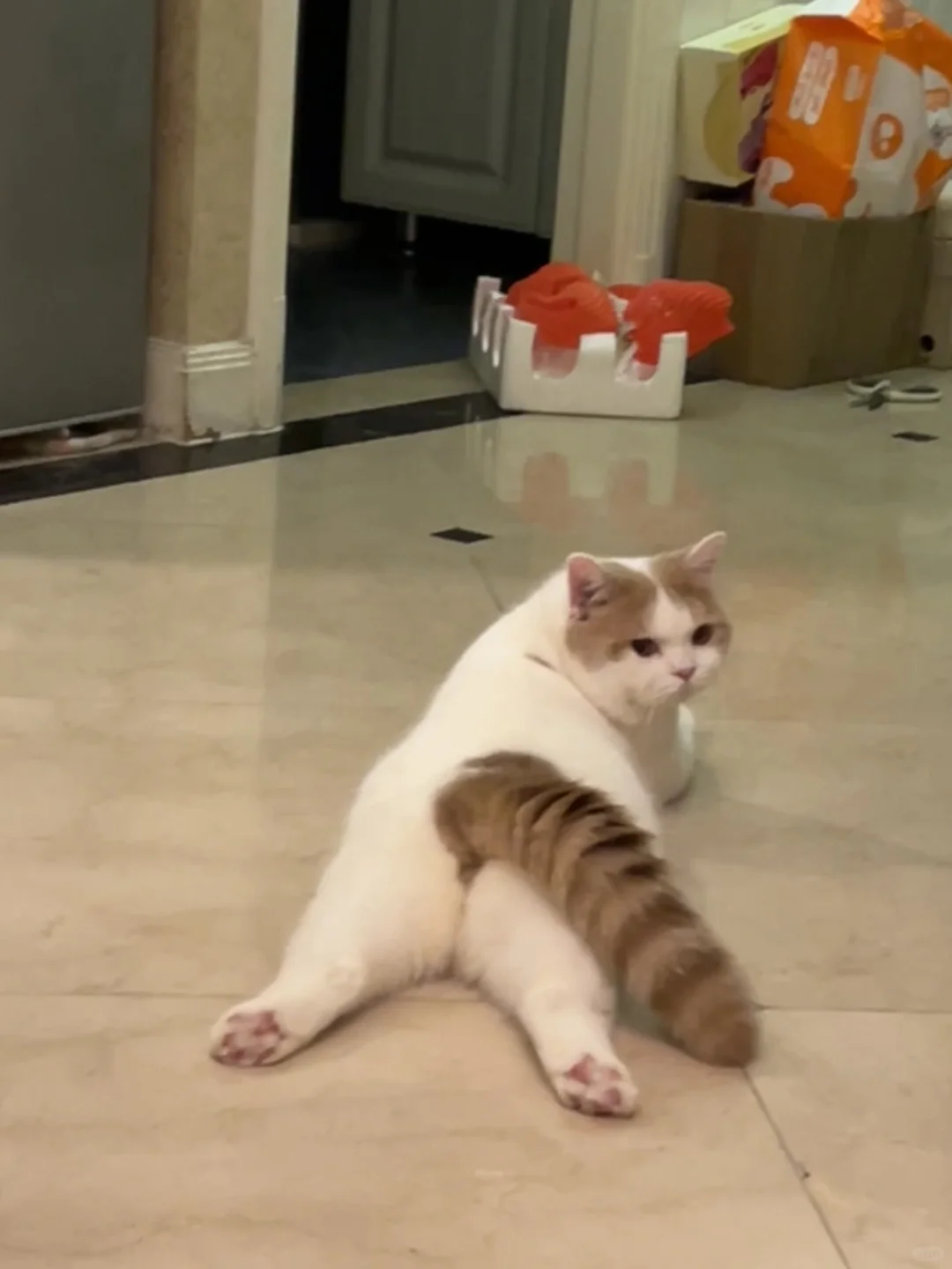 你的屁股 可以给我摸一下吗