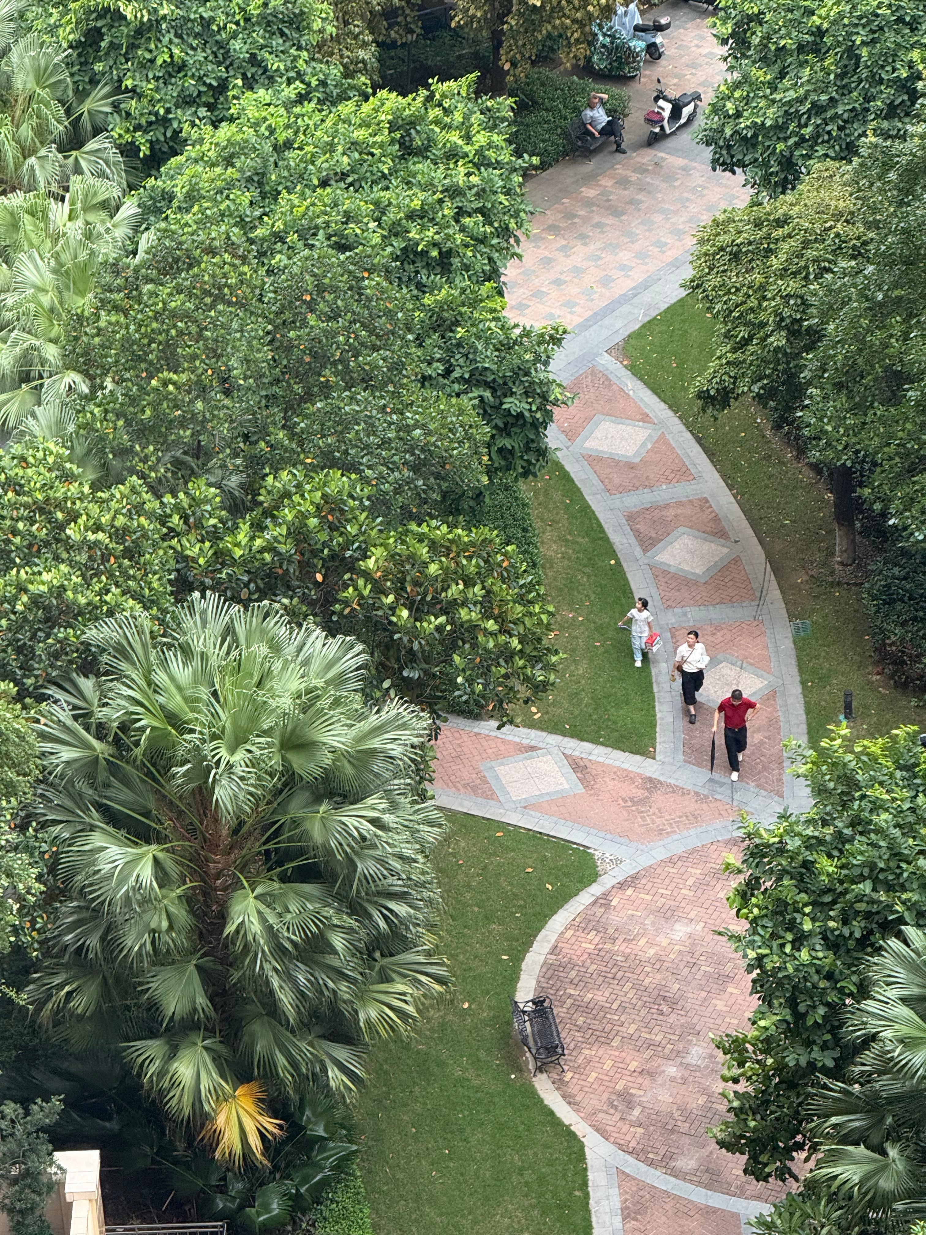[跪了]你还真的不说这个蝴蝶 台风也真的有点厉害[跪了]那个风在门窗边边吹进来，