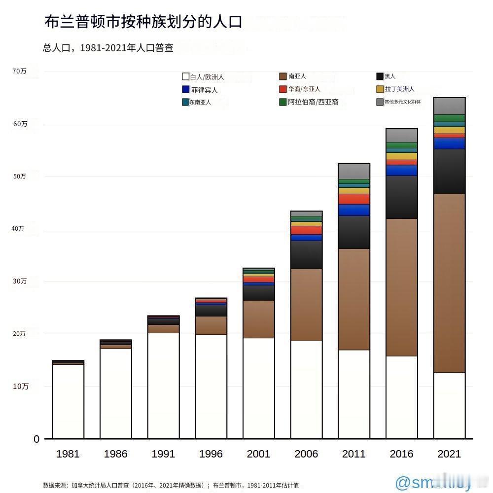 加拿大布兰普顿市1981-2021年人口种族构成变化。可以看出，只要一项政策就可