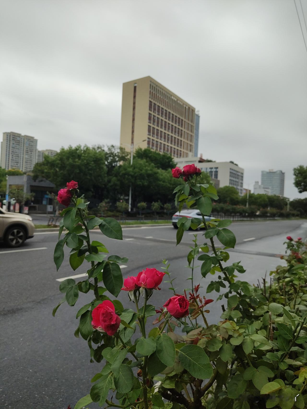 我对老年大学的学习方式是不满意的。
别的班，别的老师怎么上课我不知道。
我先说说