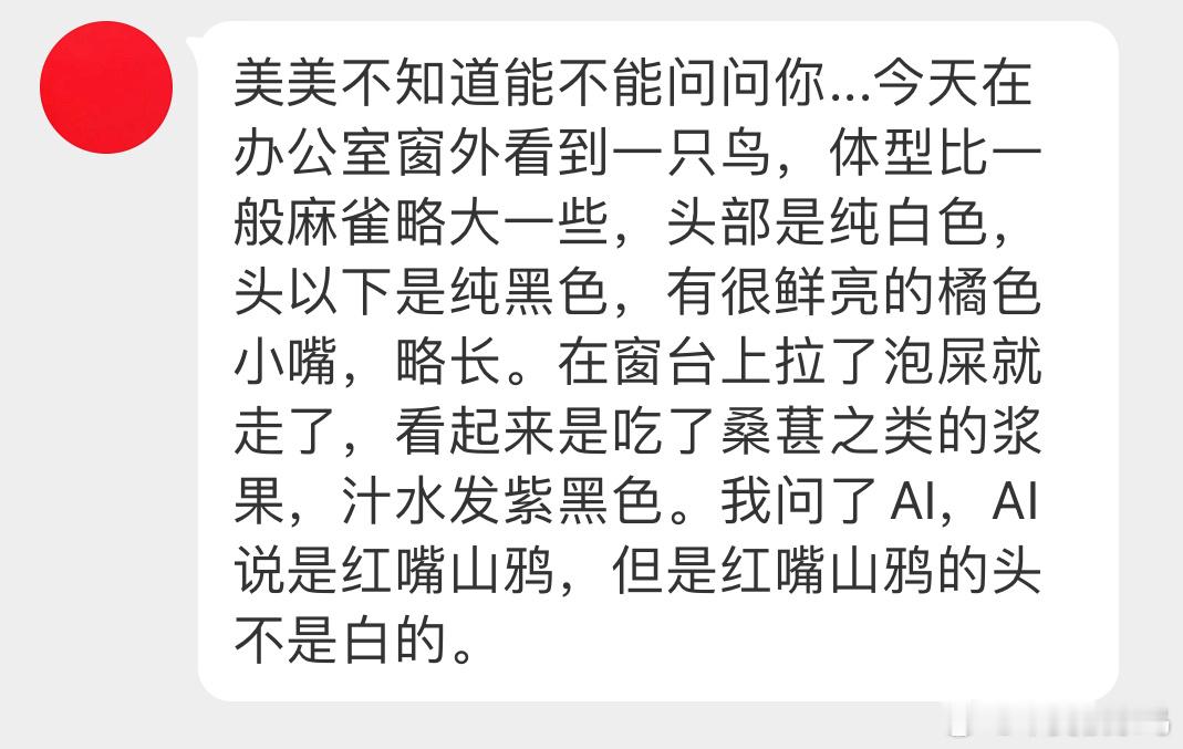#小天才的鸟类绘画# 嘴巴是胡萝卜色的【黑短脚鹎】（生僻字念半边准没错特征抓得不