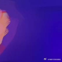 阳光信用 l森林驿站 人生最大的喜悦，就是遇见彼此同频道的那一盏明灯，你点燃我的
