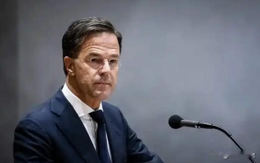 荷兰为何敢与中国硬碰硬？以为美国撑腰就能肆无忌惮？错！背后的“暗黑资本”竟然是阿