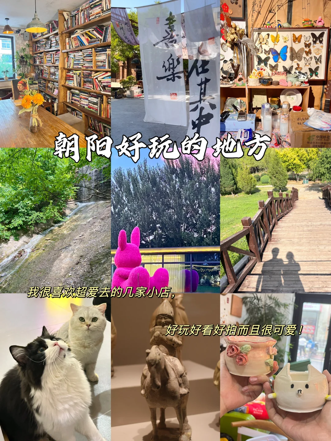 辽宁朝阳｜不知道去哪玩？好玩有趣的小店来啦