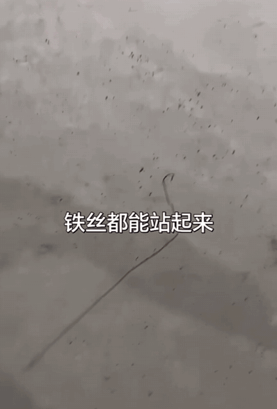 有谁知道这是什么原理？