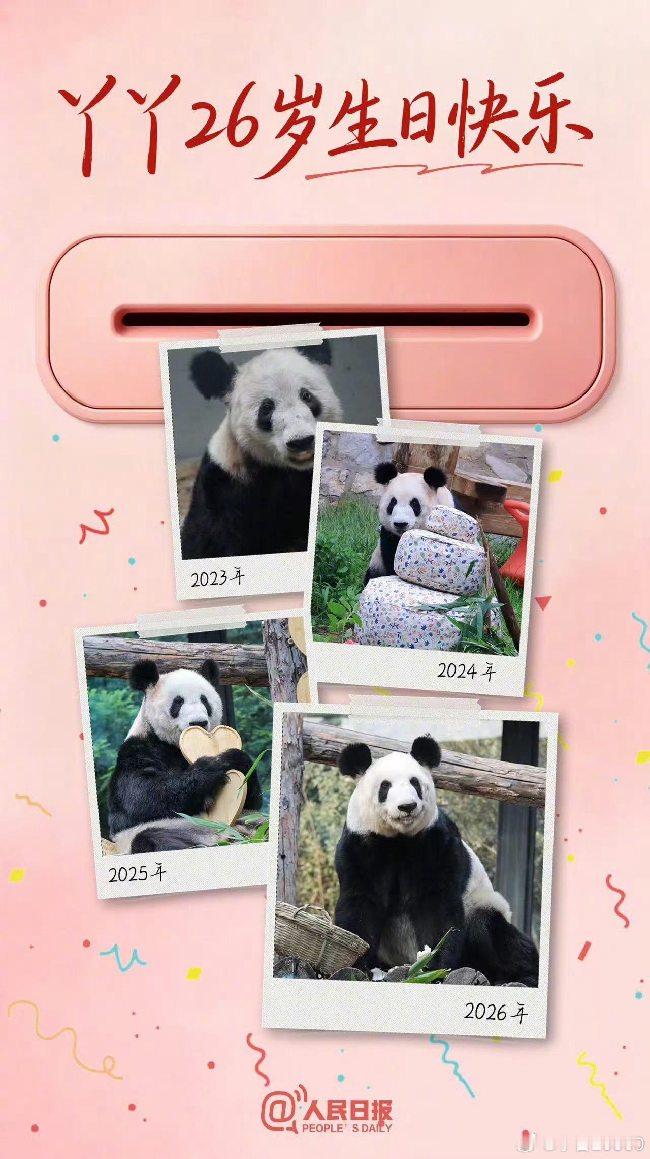 【今天，00后丫丫26岁了】丫丫26岁生日快乐 2000年8月3日，大熊猫丫丫出