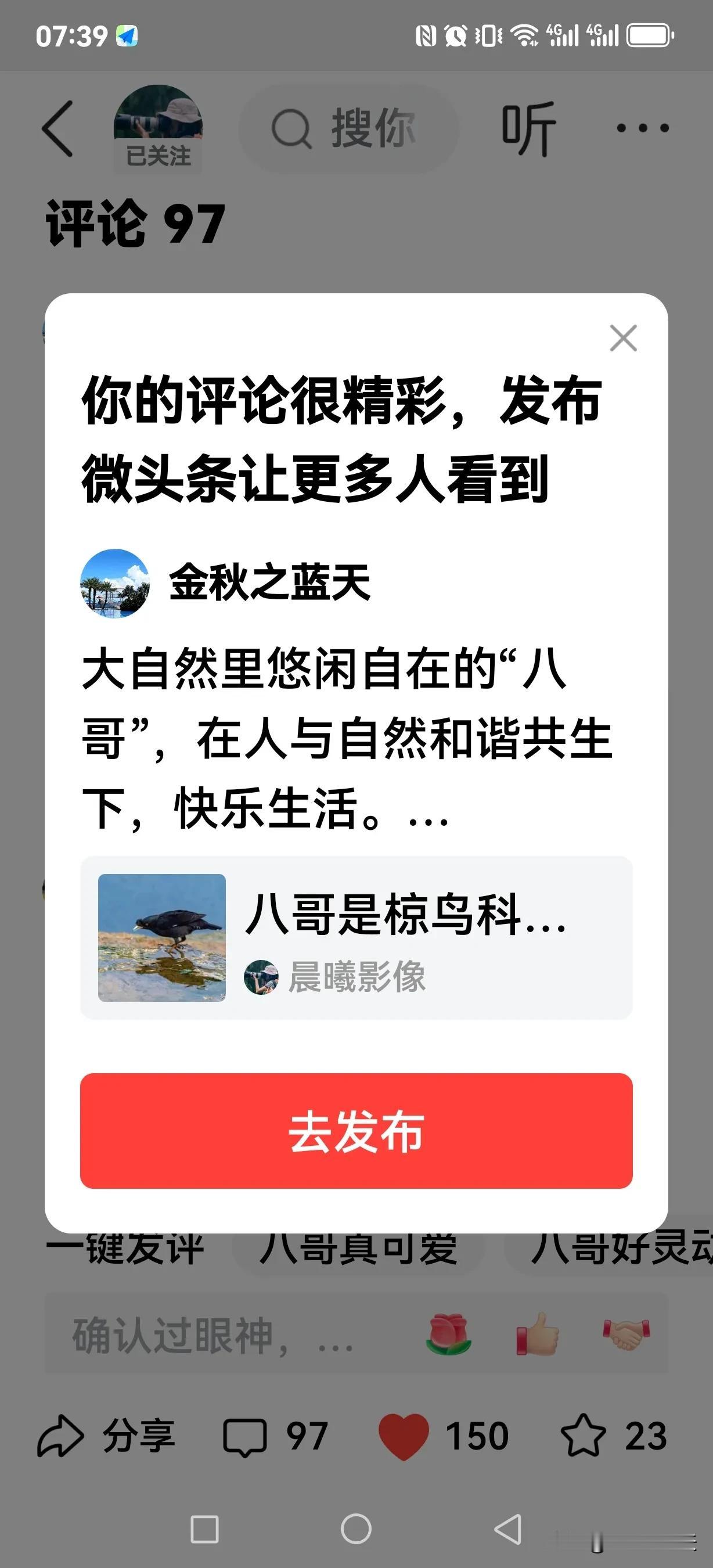 大自然里悠闲自在的“八哥”，在人与自然和谐共生下，快乐生活。
友友佳作欣赏[赞]