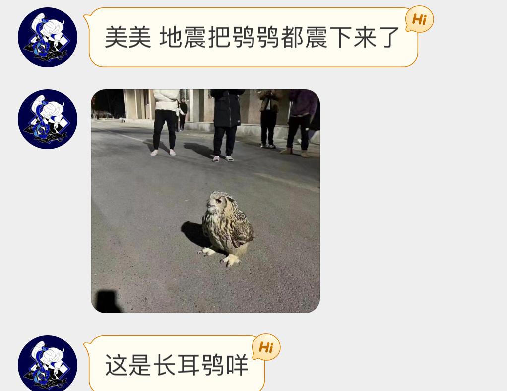 被围观的【雕鸮】🦉 二级保护鸟类它也出来避震呢 ​​​