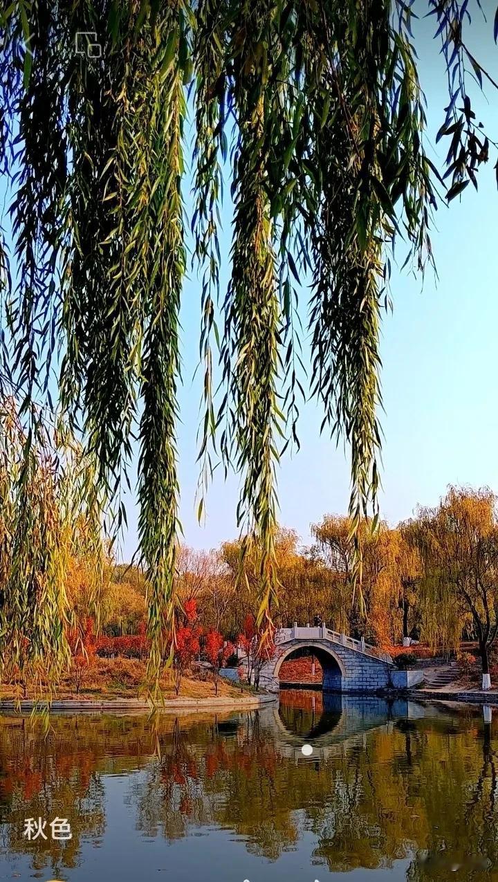 ———《秋韵》10.3
秋山秋叶换秋装，秋雨秋风秋已凉。
秋雁秋音秋起雾，秋花秋