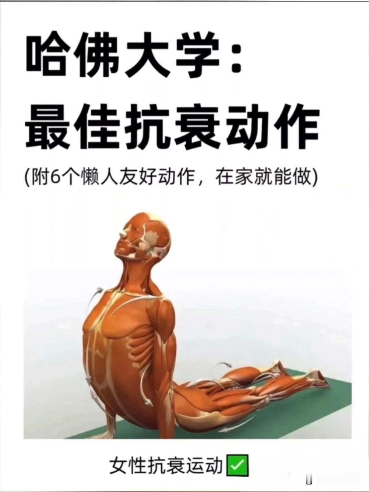 在家就能瘦！6个懒人必学动作
这6个对懒人超友好的动作，一旦学会，轻松维持好身材