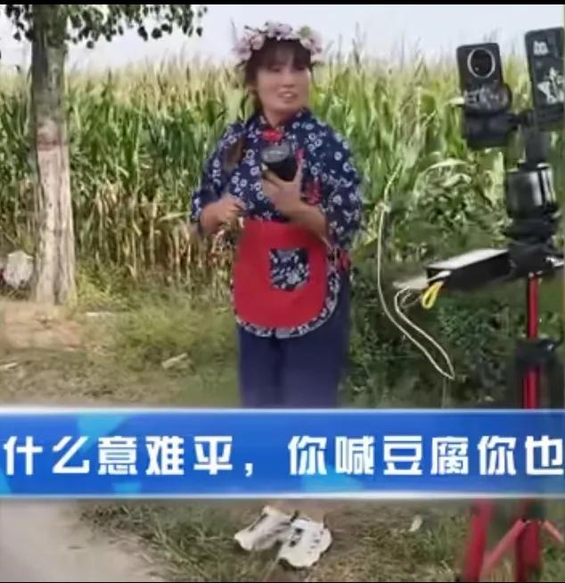 三十米的路边
六个主播
还有一个未成年人
听了半天都是在卖豆腐
说唱的调门都一样