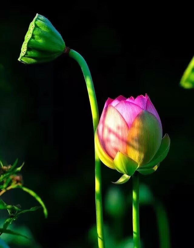 球队人员稳定也是比赛圆满完成的必要因素！