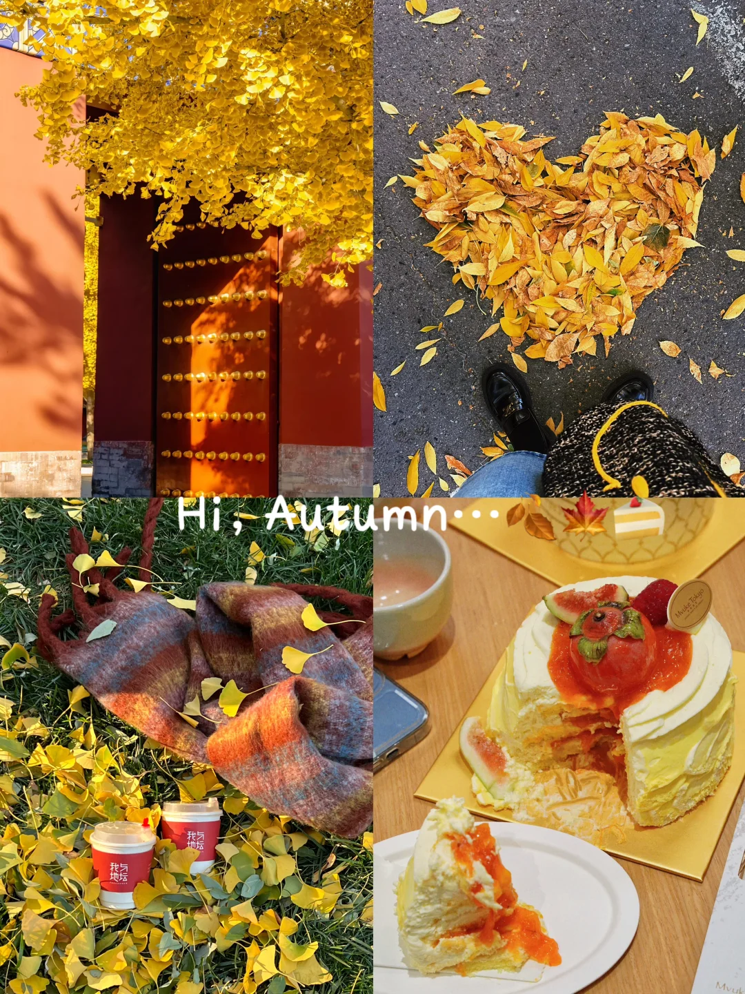 北京📍入秋仪式感🍂就从“柿柿如意”开始吧！！