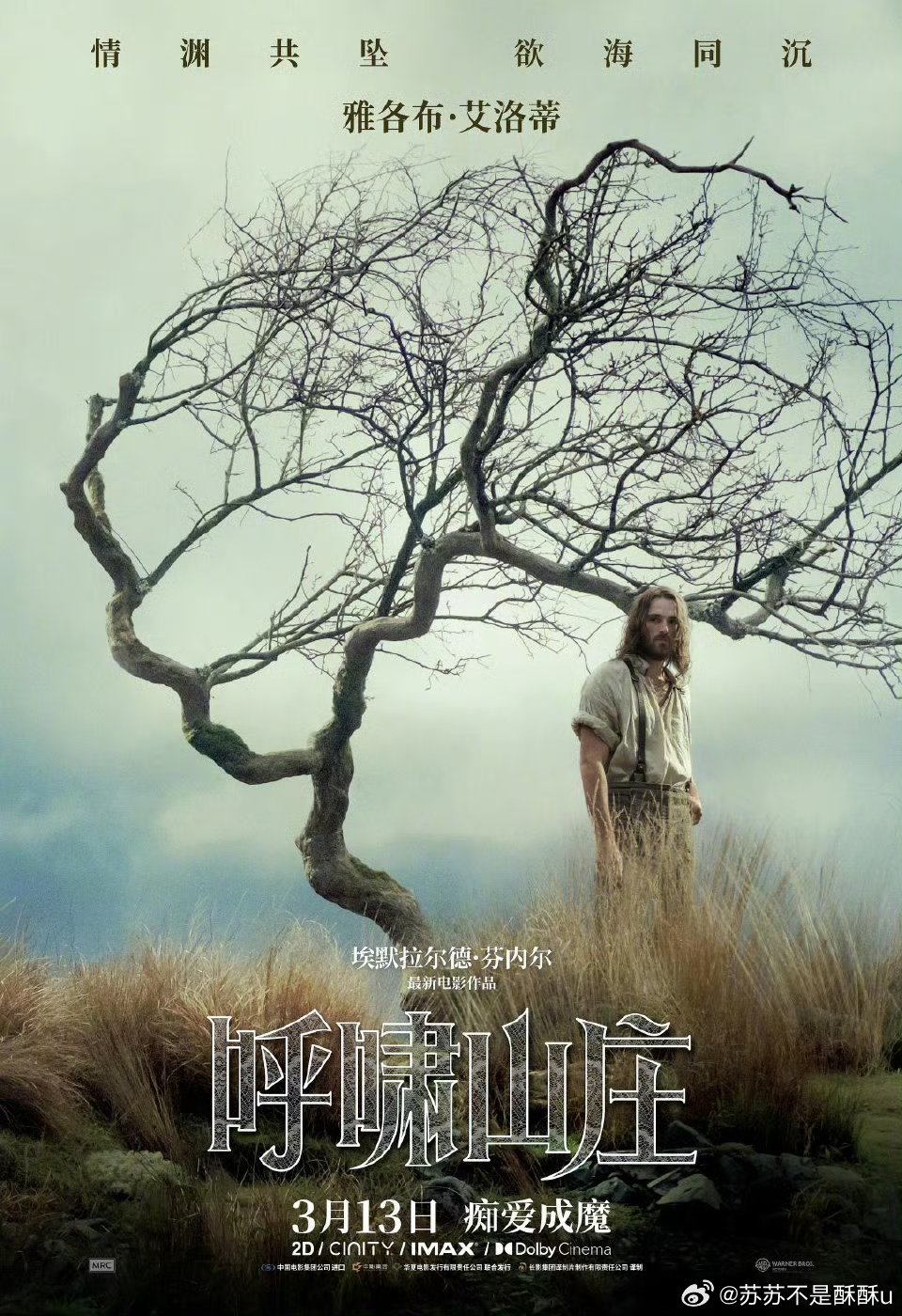 玛格特罗比的银幕表现力 颜值与实力并存，玛格特·罗比的银幕表现力太绝！不管是疯批