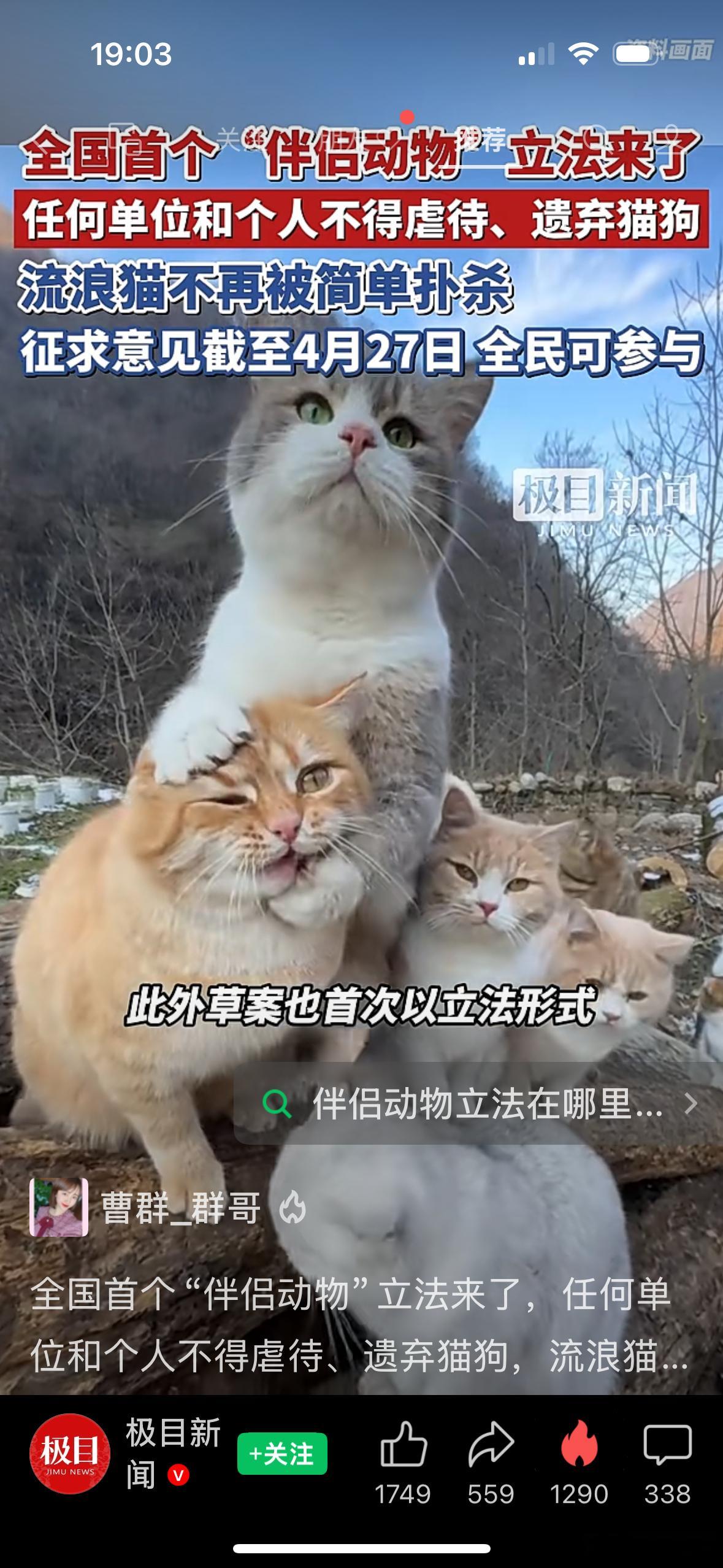 真好‼️社会在进步我爱小狗