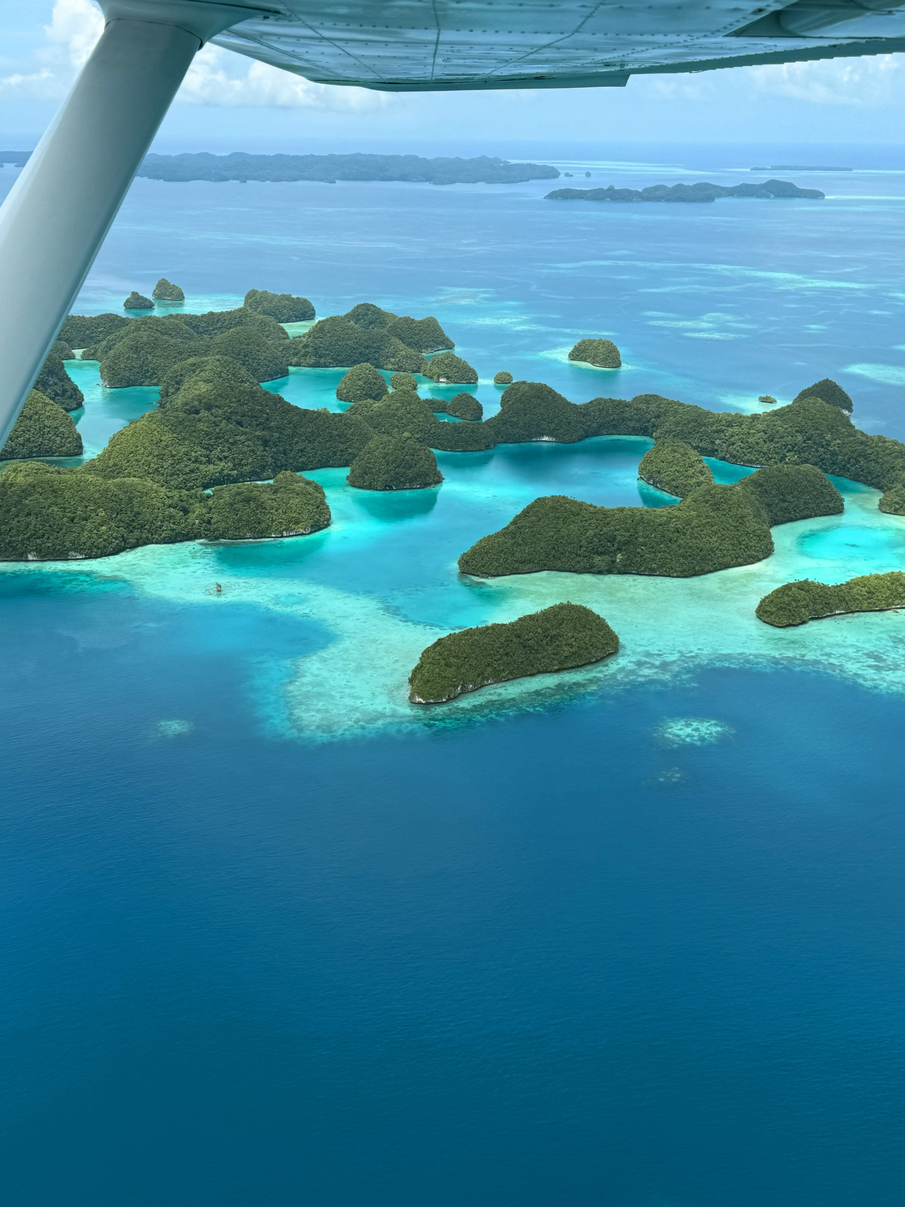 被这颗蓝色星球反复治愈的生命力🌍帕劳人生清单飞机  ​​​