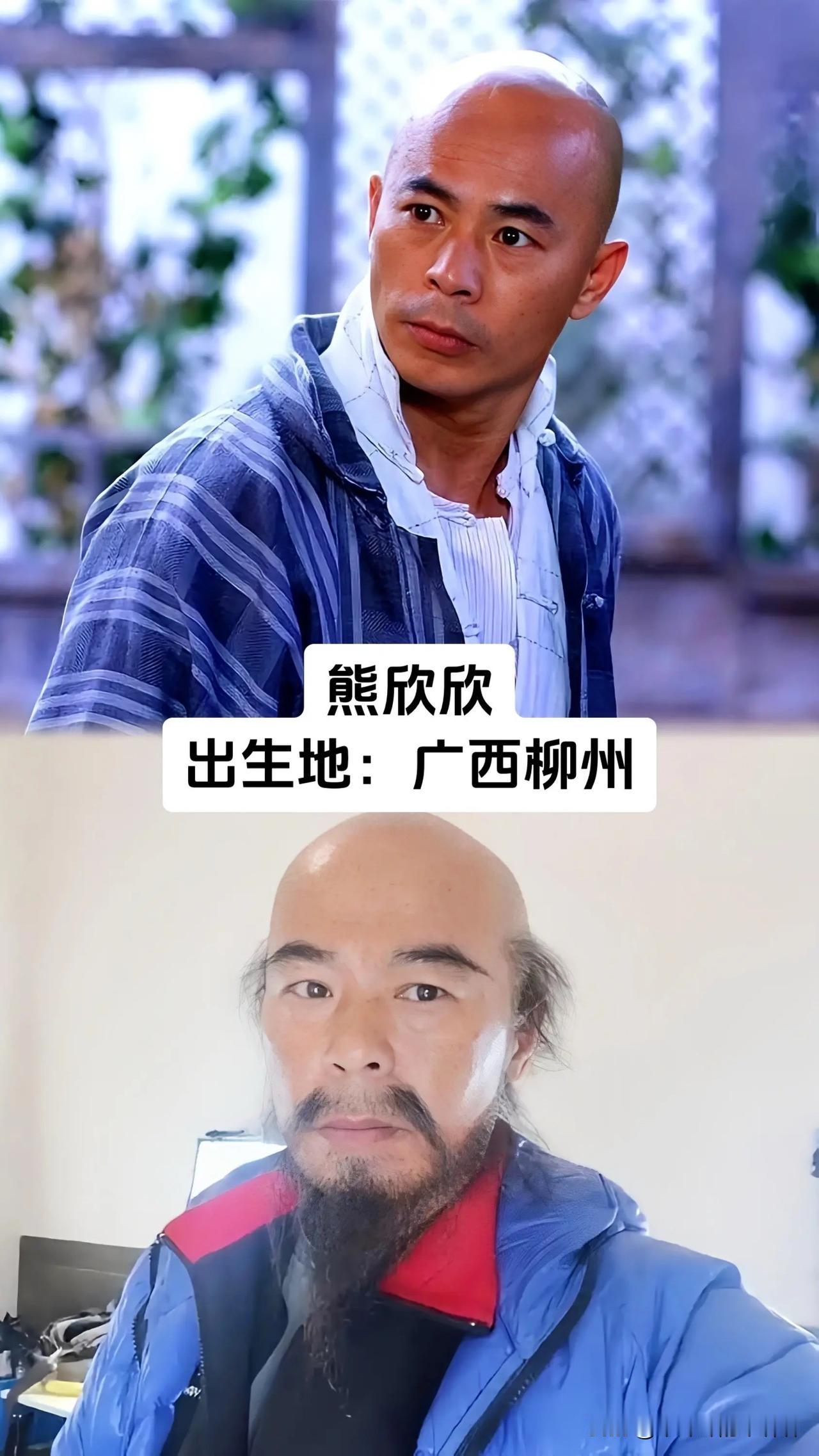 不少人没留意，熊欣欣、泰迪罗宾、黄炳耀、黄觉、胡夏、郁钧剑、唐磊全都来自广西各地