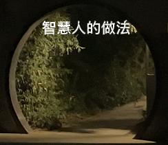 处事法则；人们这一生交往，不同情况下如何处理关系智慧策略！

真正有智慧的人，其