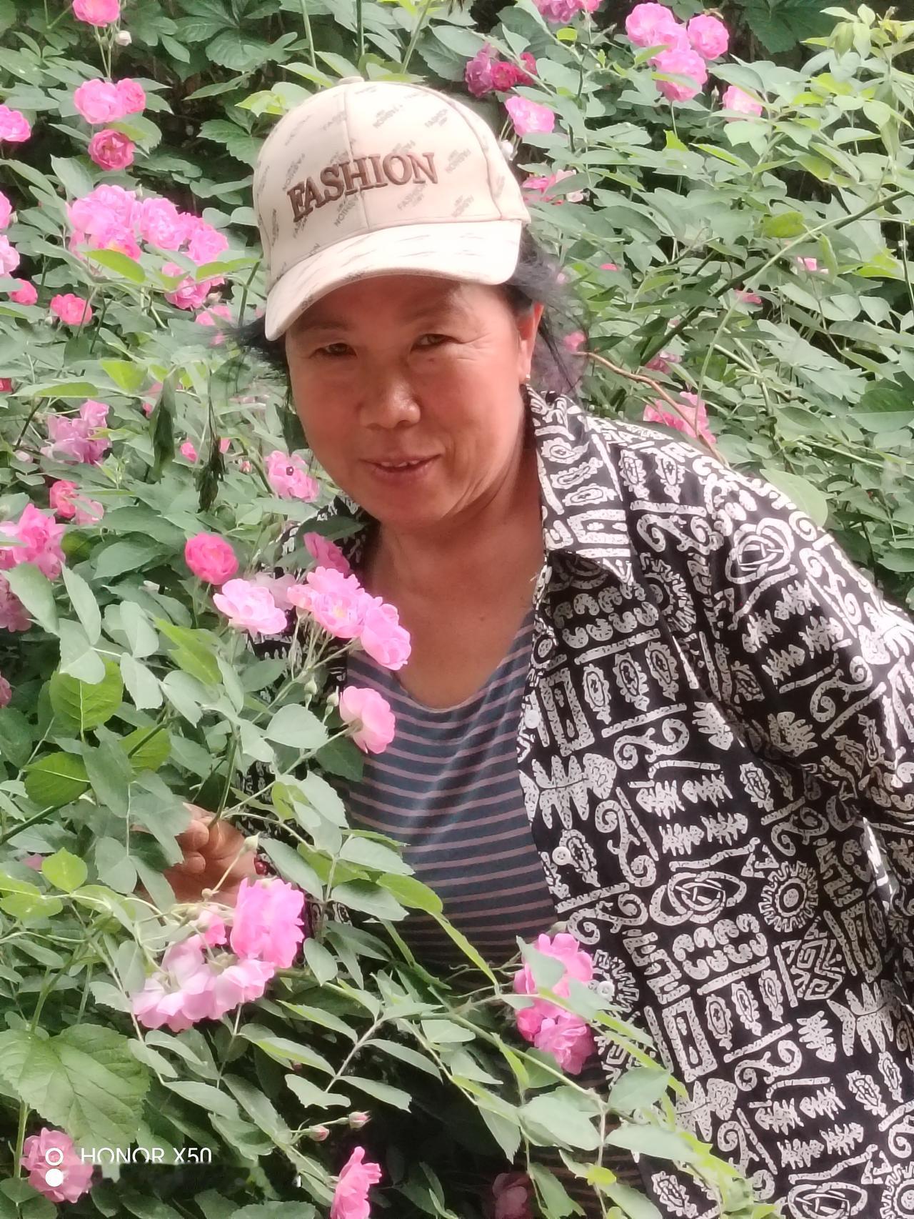 相册里的花花草草今日在唐山凤凰山公园，拍了几张照片，作为纪念