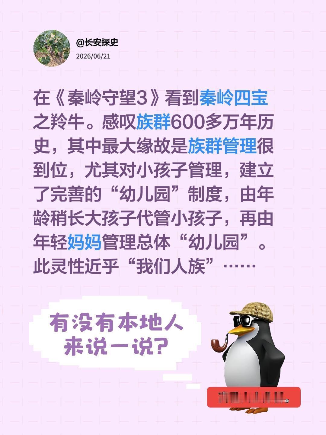 秦岭四宝的羚牛，如何管理“幼儿园”……在《秦岭守望3》看到秦岭四宝之羚牛。感叹族