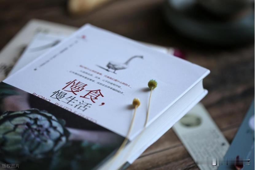 涨姿势了！原来春天养肝第一步不是“补”，而是“清”！

春天正是养肝黄金期，很多