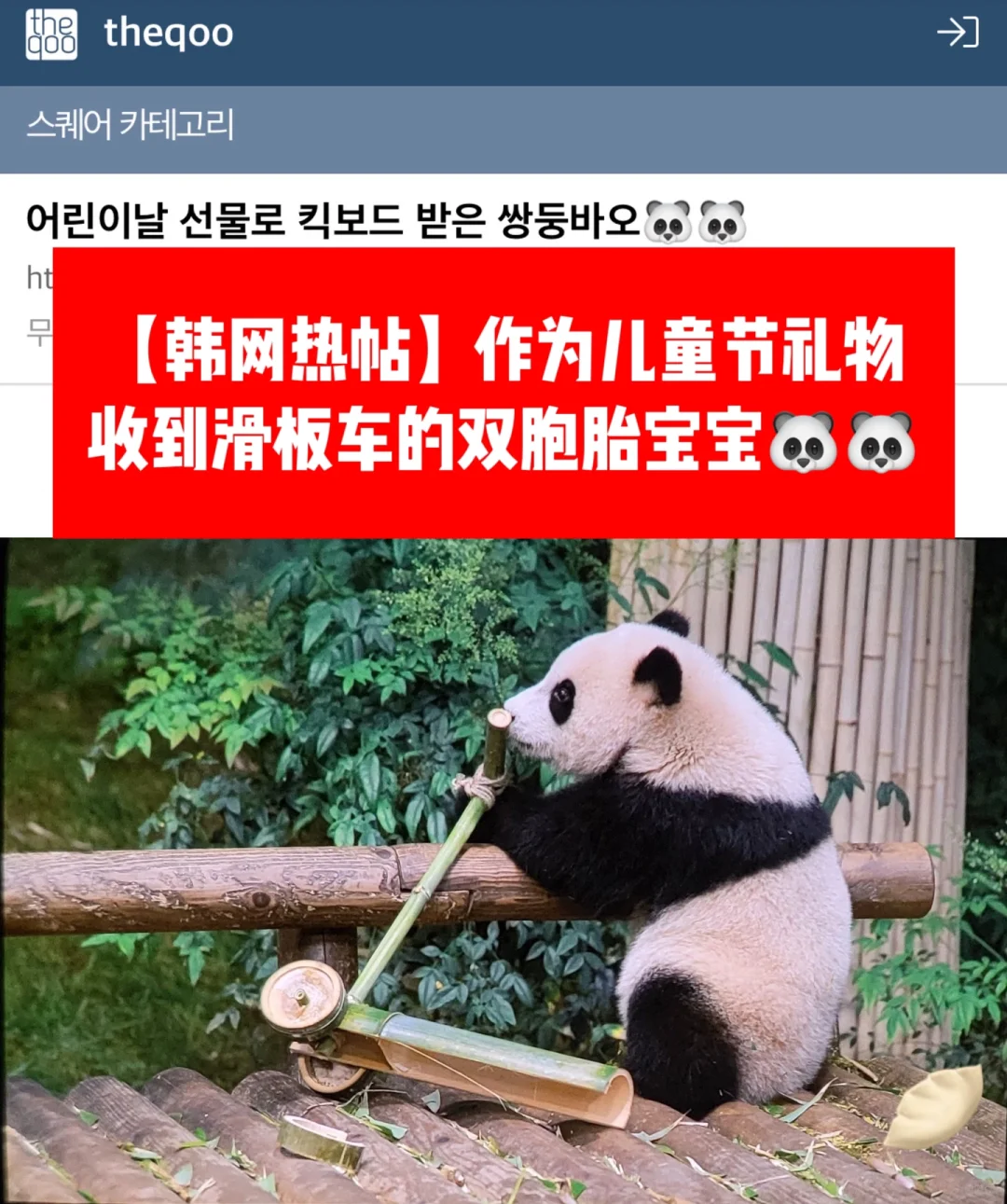 🔥 作为儿童节礼物收到滑板车的双胞胎🐼🐼