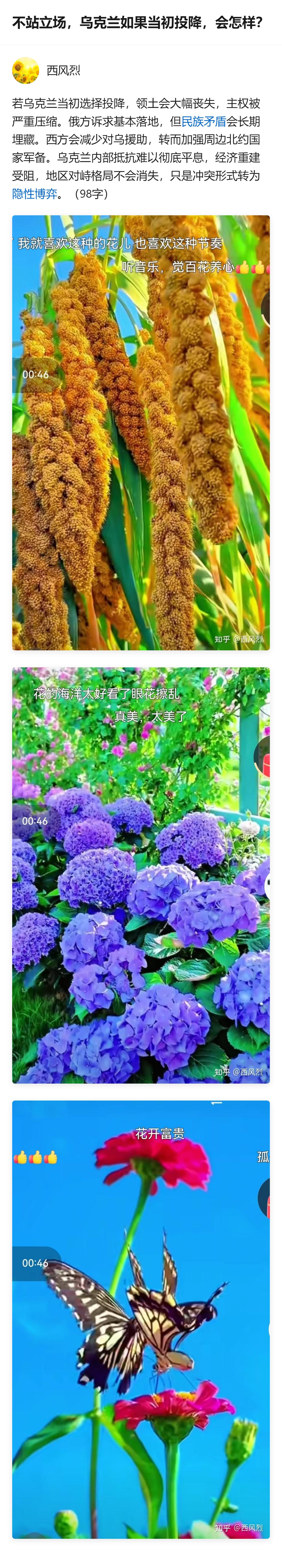 从现有信息看，若乌克兰当初选择投降，领土会大幅丧失、主权被严重压缩，俄方诉求基本