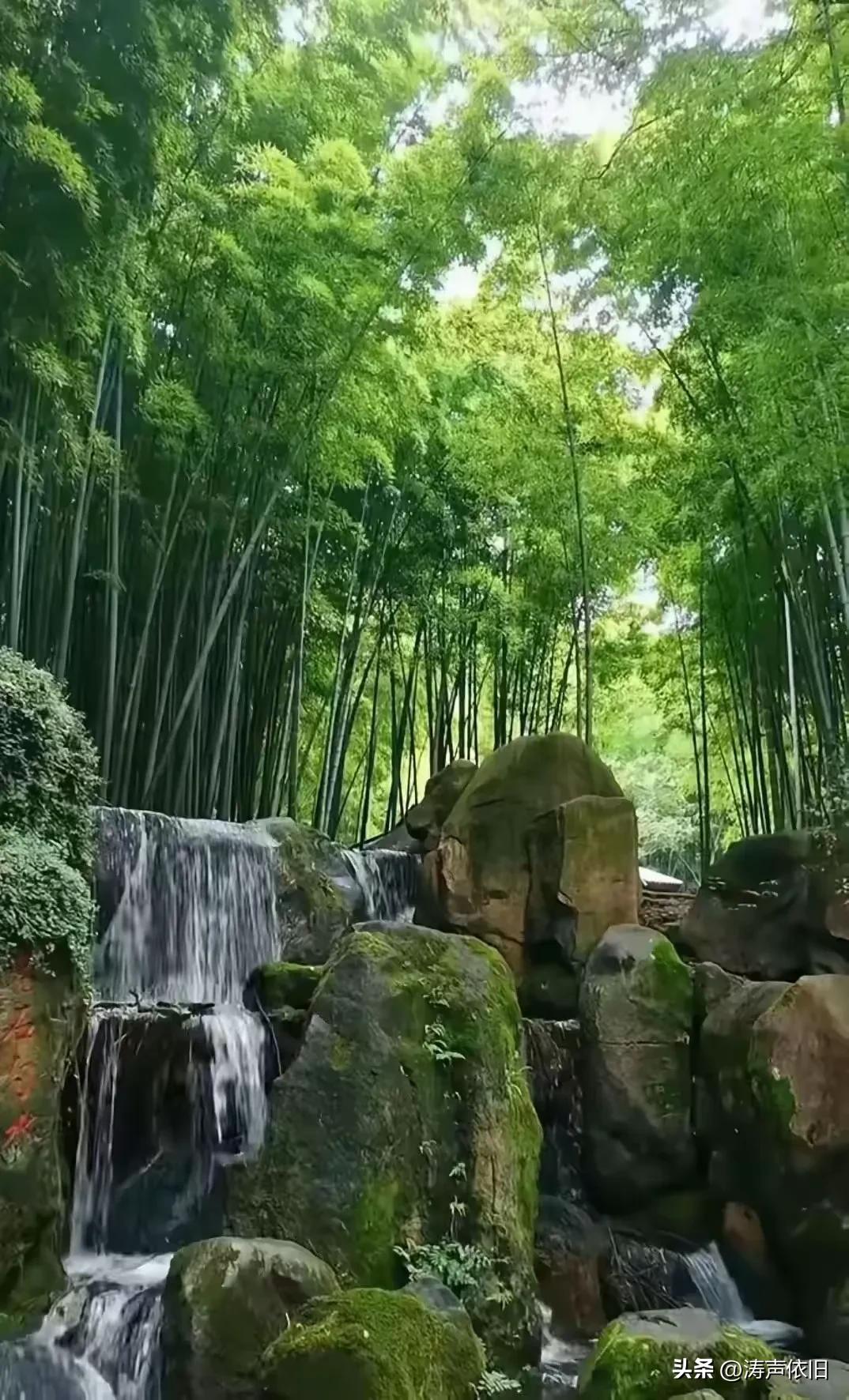《鹧鸪天·人生美好》

自护身心第一高，
尘烦看淡自逍遥。
随缘度日身形健，
荤