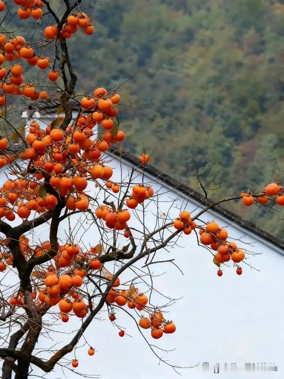 初中想提高成绩，得讲究方法。
先明确目标、制定计划。可以设短期目标，比如每次考试