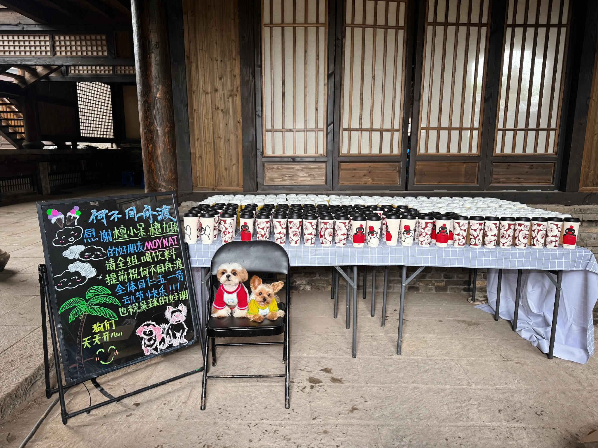 檀力球与檀小呆 呆球相当有面的啦！ 